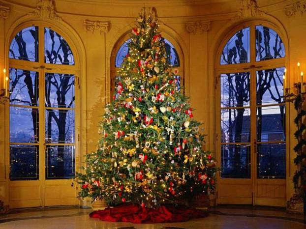Come conservare l'albero di Natale dopo le feste natalizie